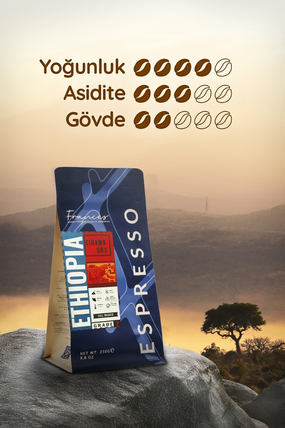 %100 Arabica Ethiopia Sidamo GR2 | Espresso | 3*250 GR | Orta-Yüksek Yoğunluk - Görsel 4